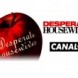 Audience Canal +