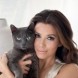 Sheba