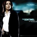 The Sentinel