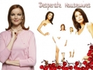 Desperate Housewives Concours n1 