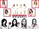 Desperate Housewives Concours n3 