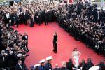 Desperate Housewives Festival de Cannes 2016 