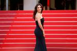 Desperate Housewives Festival de Cannes 2016 