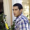 Desperate Housewives Galerie ABC 102 